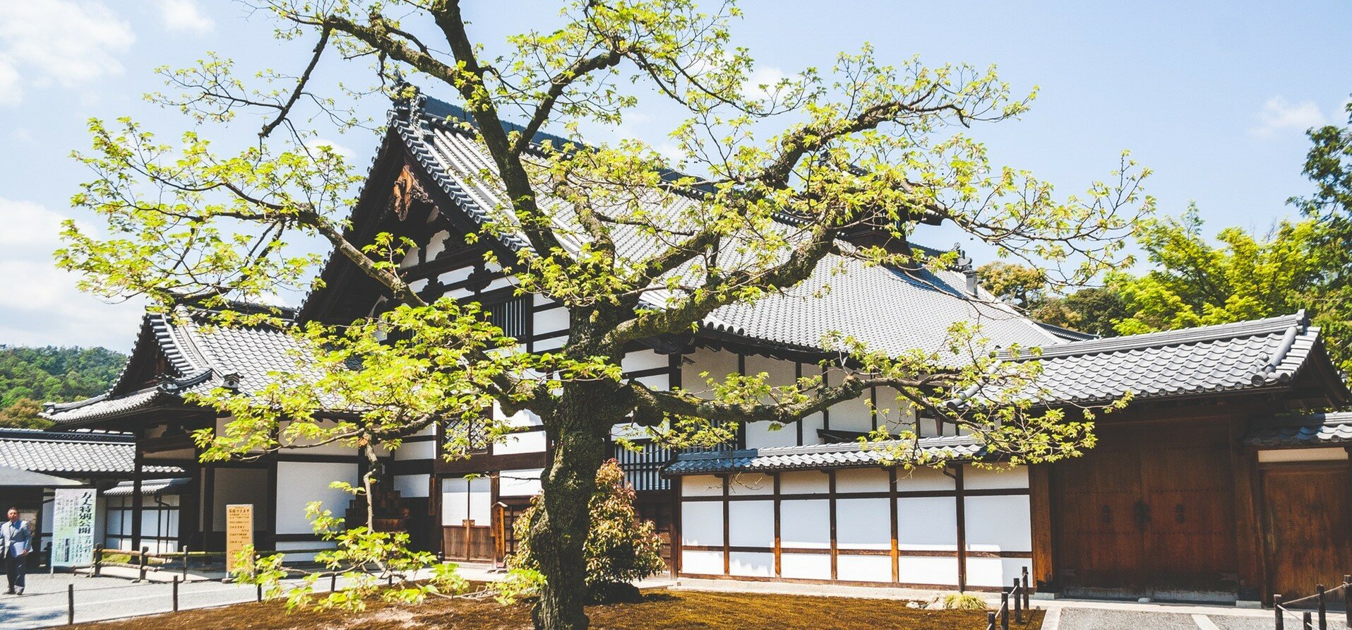 Pexels Photo Japan